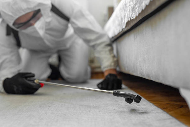 Professional Bed Bug Control technician working in Fairchild AFB, WA