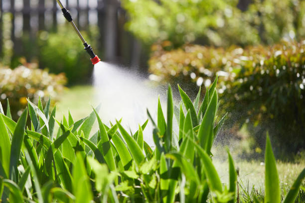 24/7 Emergency Bed Bug Control experts in Fairchild AFB, WA