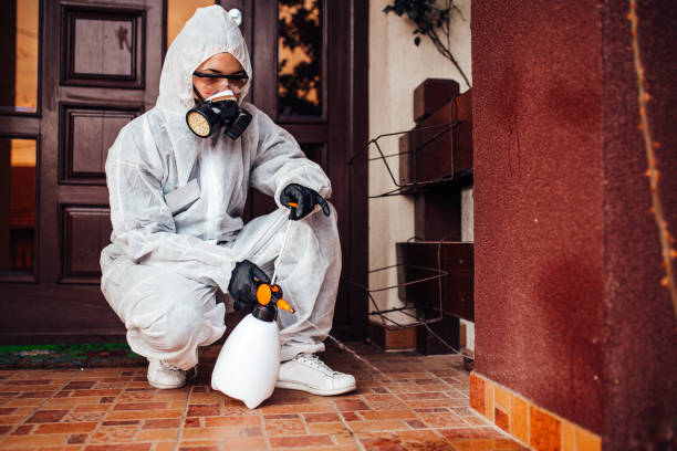 Reliable Bed Bug Control contractor in Fairchild AFB, WA by Nex Pest Control