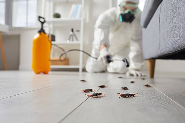 Trusted Rodent Control service in Fairchild AFB, WA - Nex Pest Control