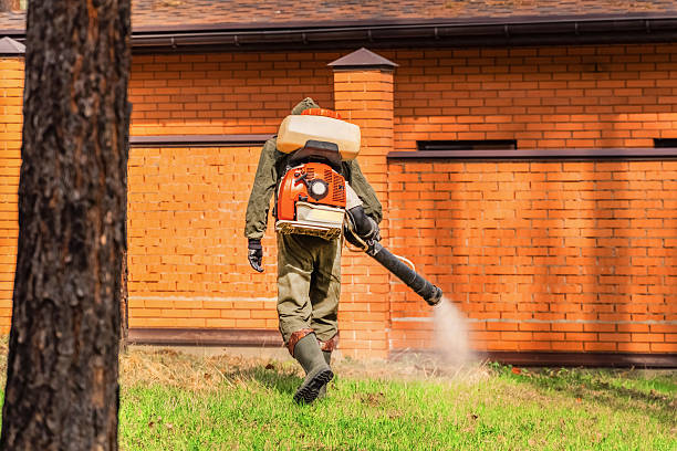 Trusted Bed Bug Control service in Fairchild AFB, WA - Nex Pest Control